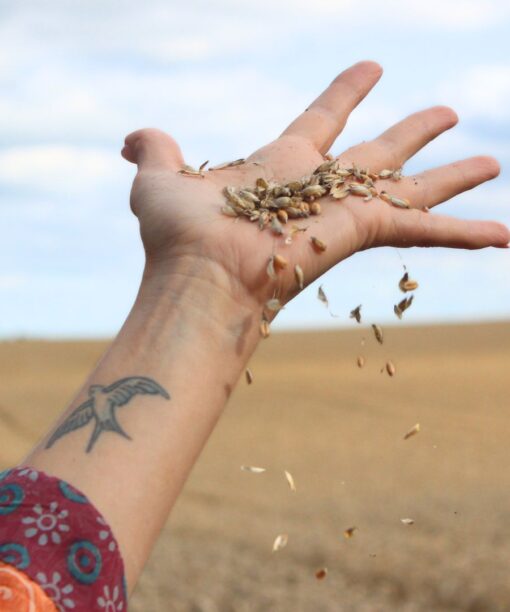 HØST - 25. sept. 2025 - kl. 18:30 - 21:00