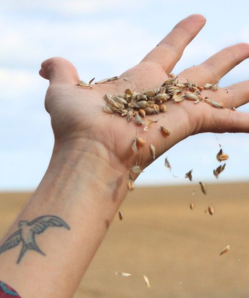 HØST - 1. okt. 2026 - kl. 18:30 - 21:15